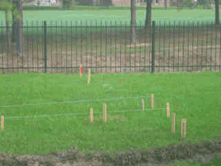 Wooden stakes driven into the ground to outline the pool footprint